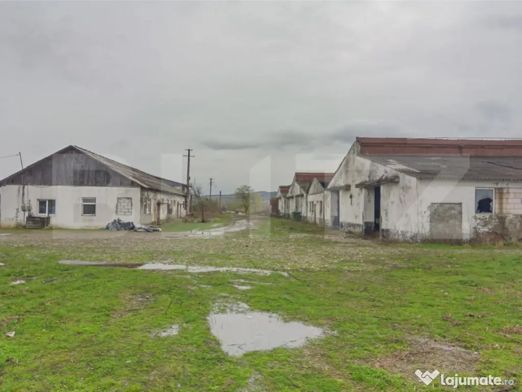 Ferma zootehnică de vânzare în Șieu Odorhei, intravilan, 