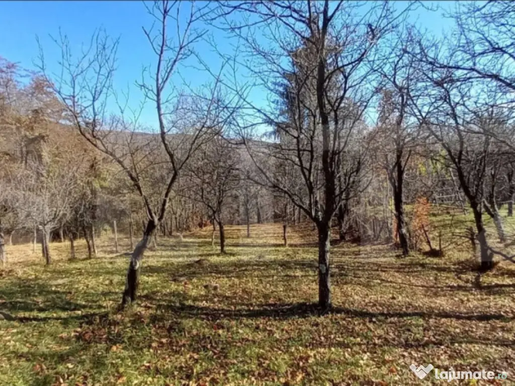 Oportunitate de investiție agricolă – Teren extravilan d