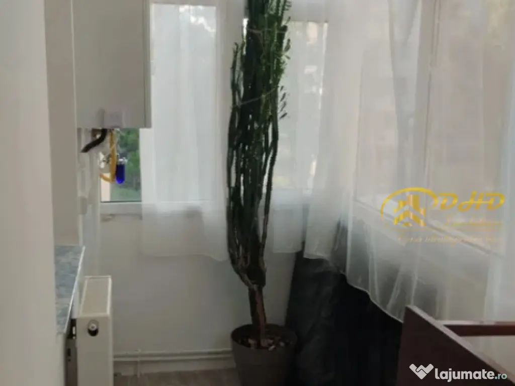 NICOLINA, AP 2 cam, 390 usor negociabil 