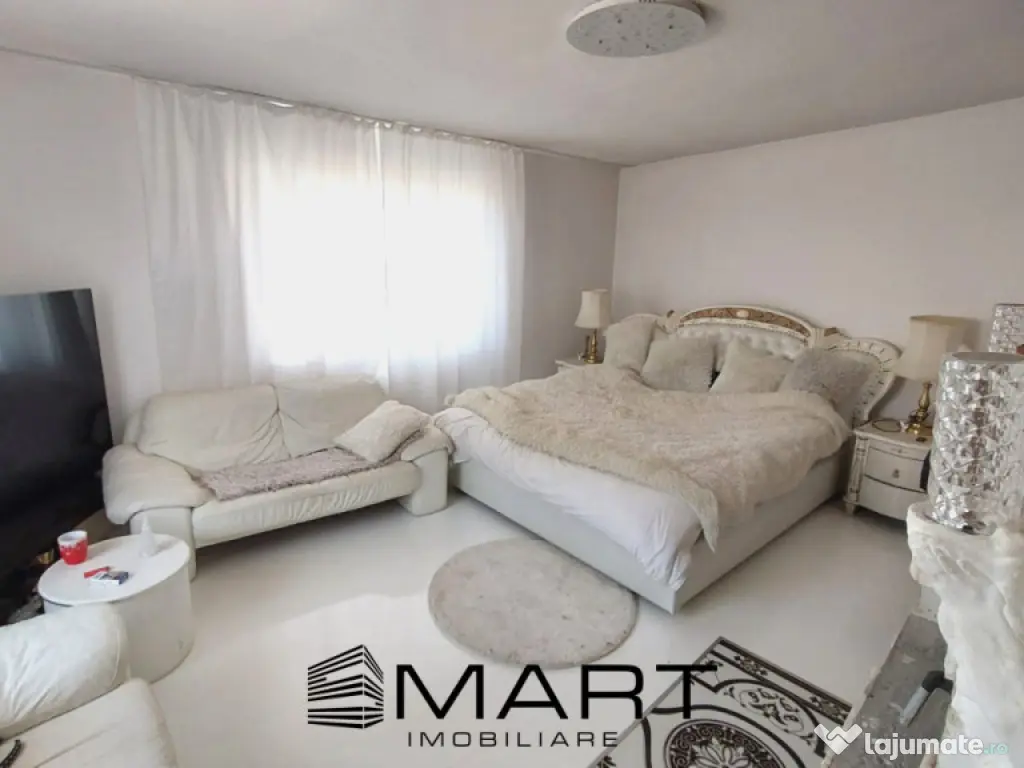 Casa spatioasa si curte zona Terezian