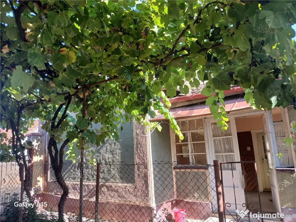 RECO Casa de in Fegernic cu 2541mp teren 