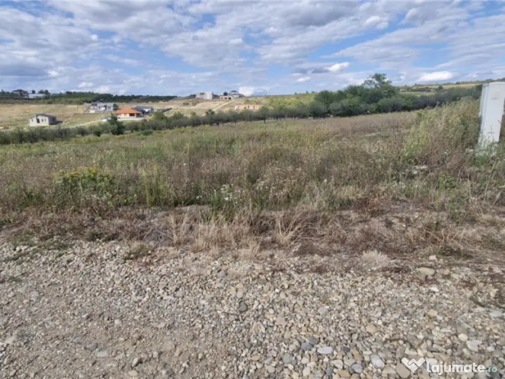 RECO Teren intravilan in Saldabagiu de Munte 