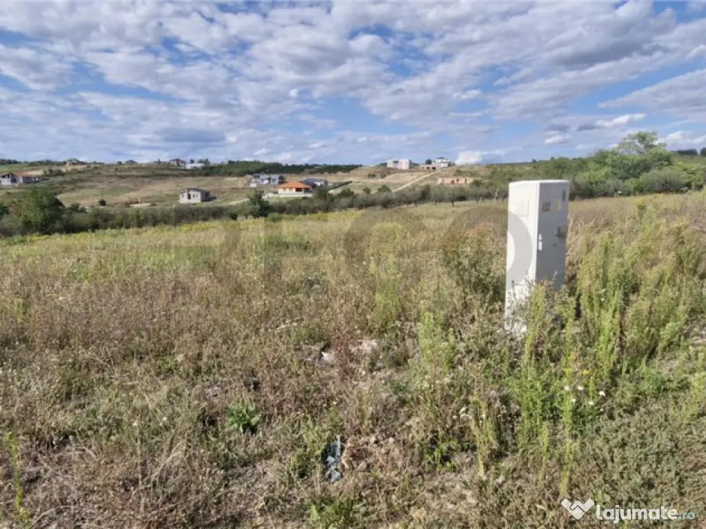 RECO Teren intravilan in Saldabagiu de Munte 