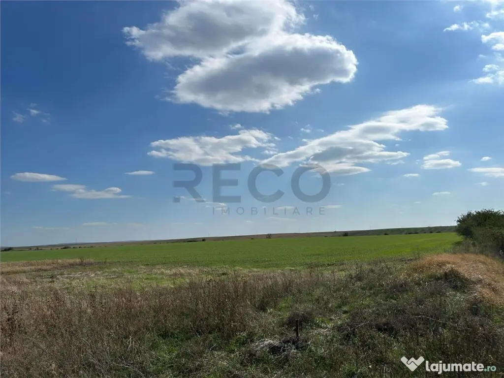 RECO Oportunitate teren 25000mp Santandrei 