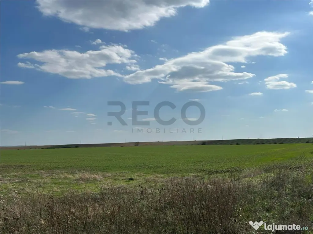 RECO Oportunitate teren 25000mp Santandrei 