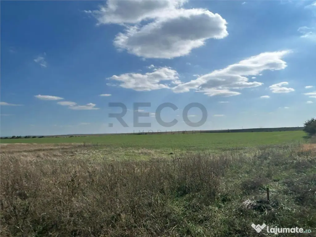 RECO Oportunitate teren 25000mp Santandrei 