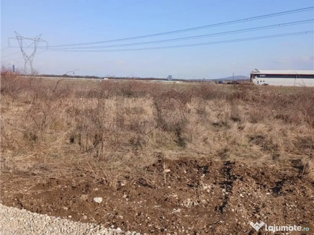 RECO Teren intravilan Apateu