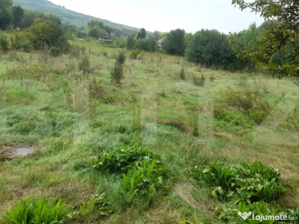 Casa 200 mp, 11 ari teren, la 20 km de Bistrita sau SCHIMB c