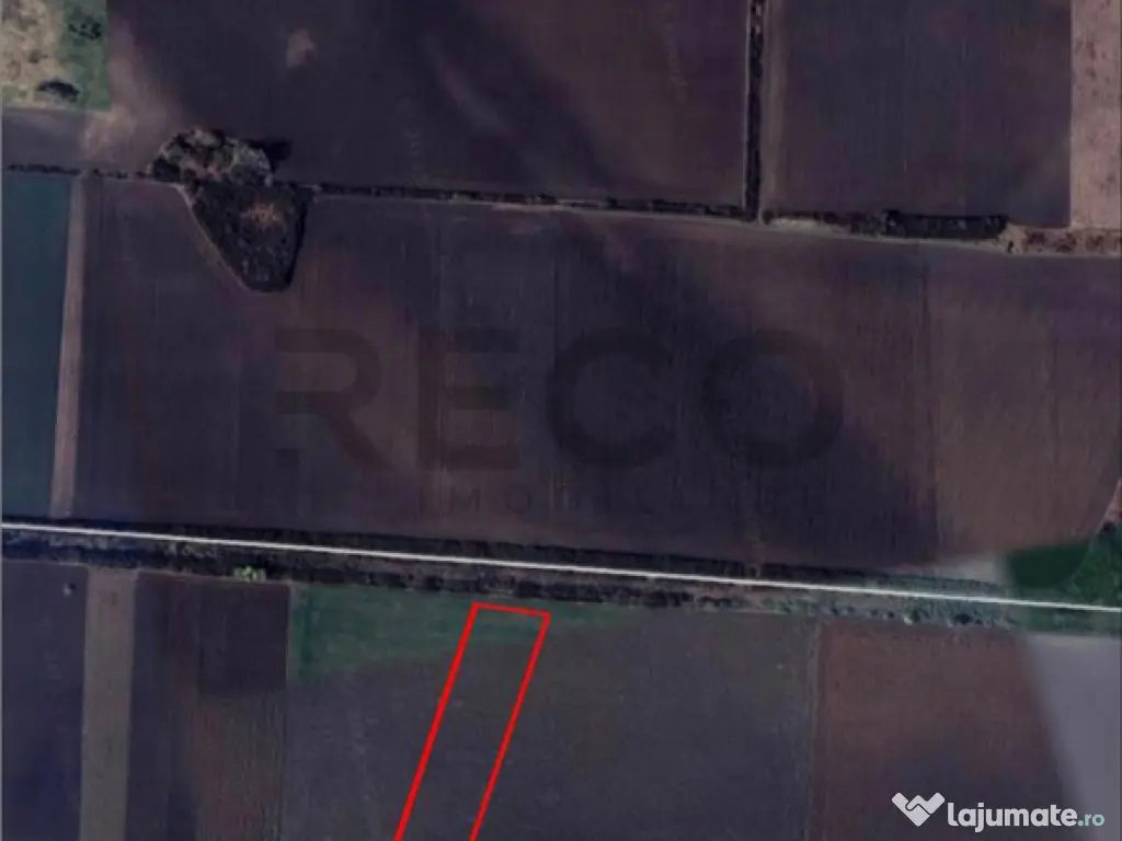 RECO Teren extravilan 9000mp zona Bors