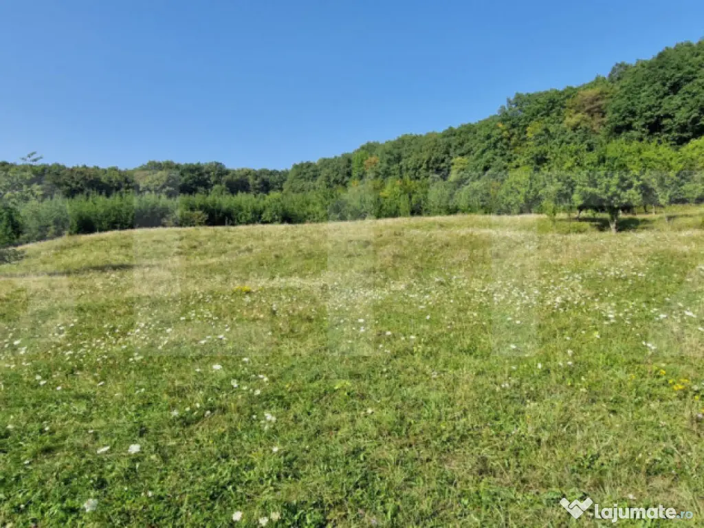 Teren de vanzare, 1Ha in apropiere de cartierul RAAL