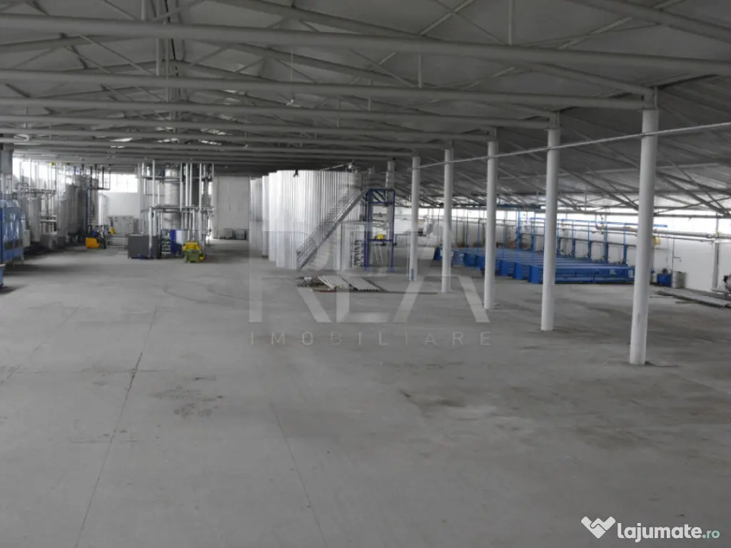 HALA FILIPESTII DE PADURE - complet echipată, pregătită p 