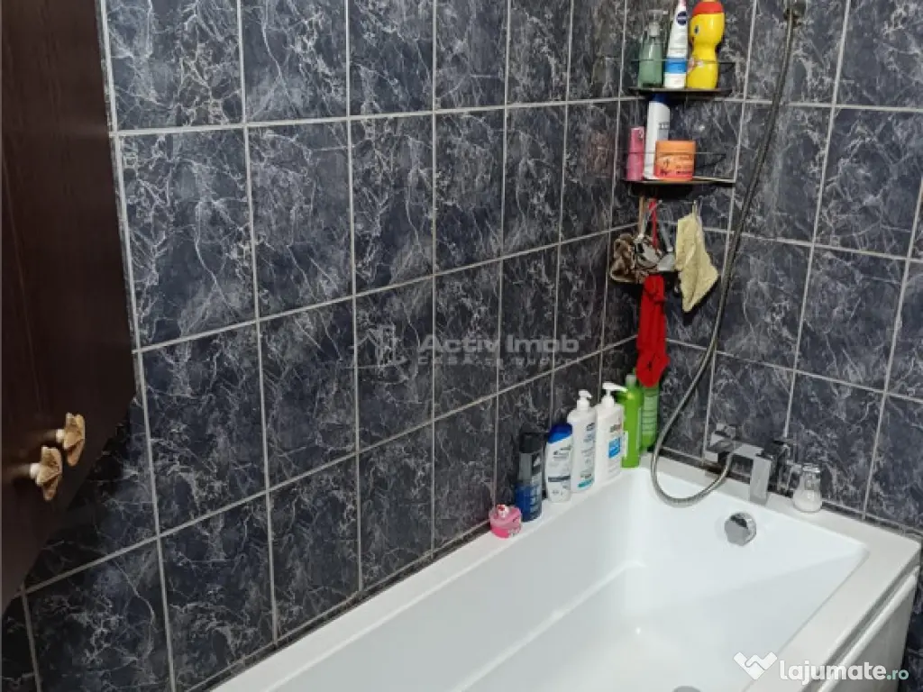 2 cam - zona Parneava - la casa 