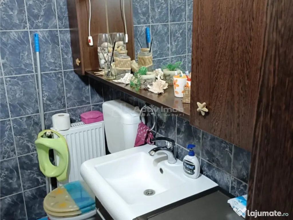 2 cam - zona Parneava - la casa 