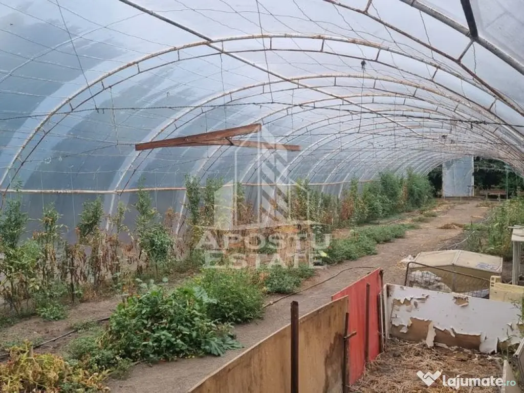 Casa individuala, teren generos, oportunitate de investitie 