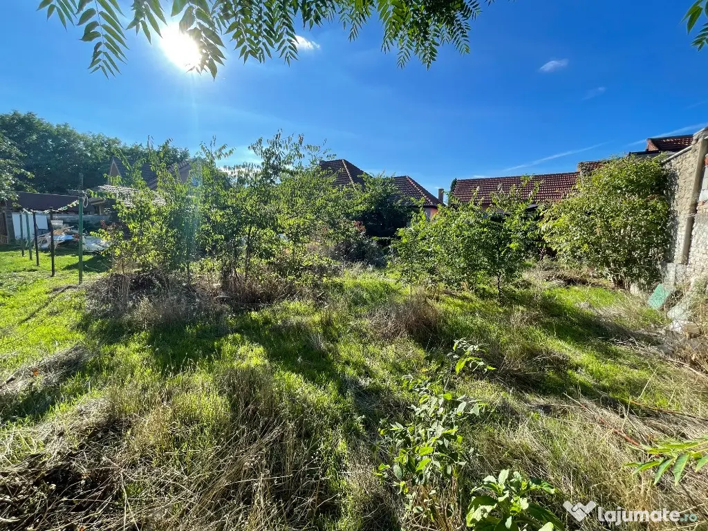 ULTRACENTRAL ORADEA - casa de vanzare 