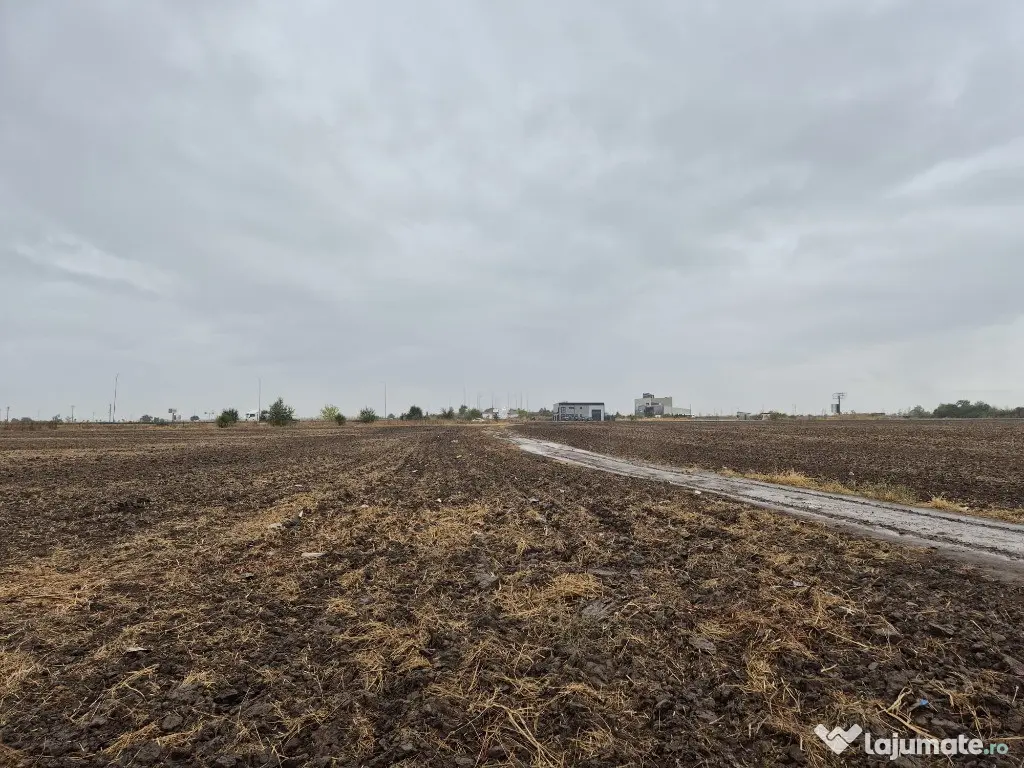 Metro Ploiesti - Paulesti, vanzare teren 39.144mp. 