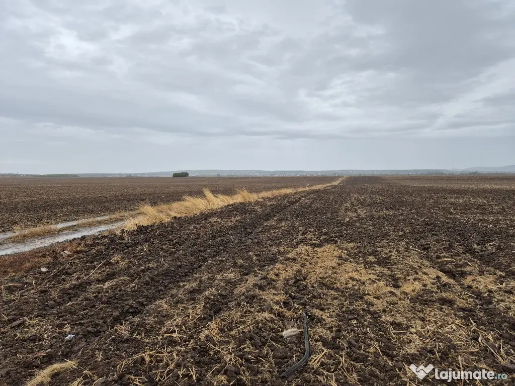 Metro Ploiesti - Paulesti, vanzare teren 39.144mp. 