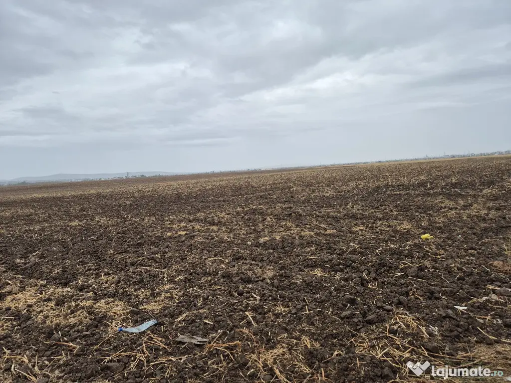 Metro Ploiesti - Paulesti, vanzare teren 39.144mp. 