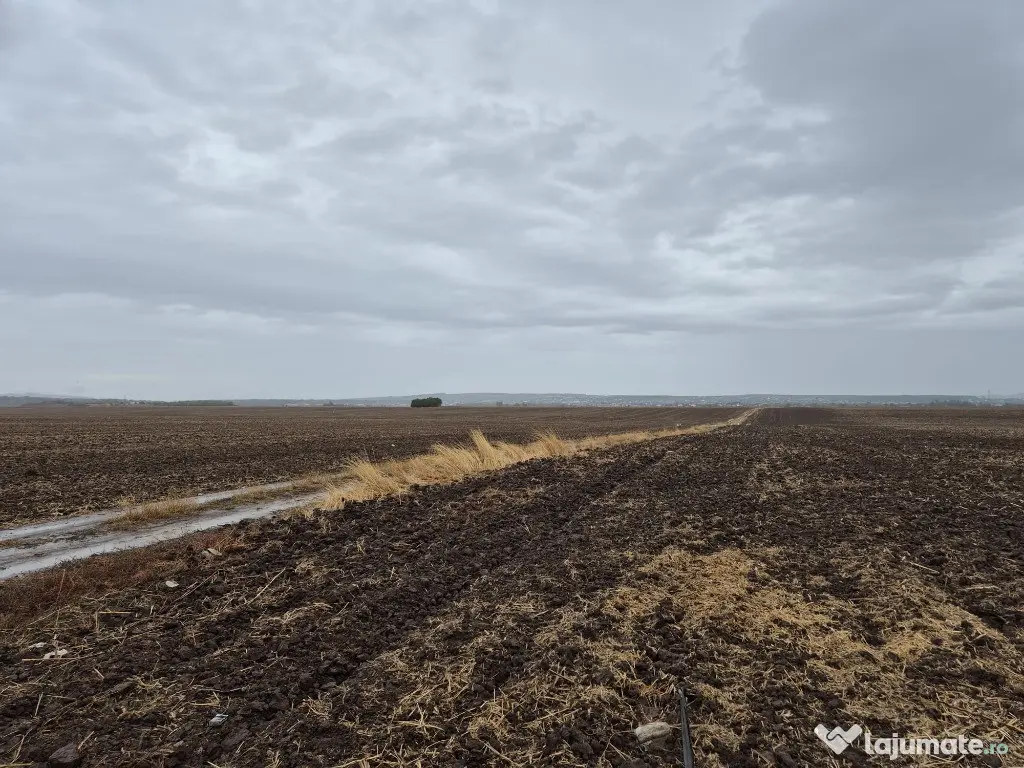 Metro Ploiesti - Paulesti, vanzare teren 39.144mp. 