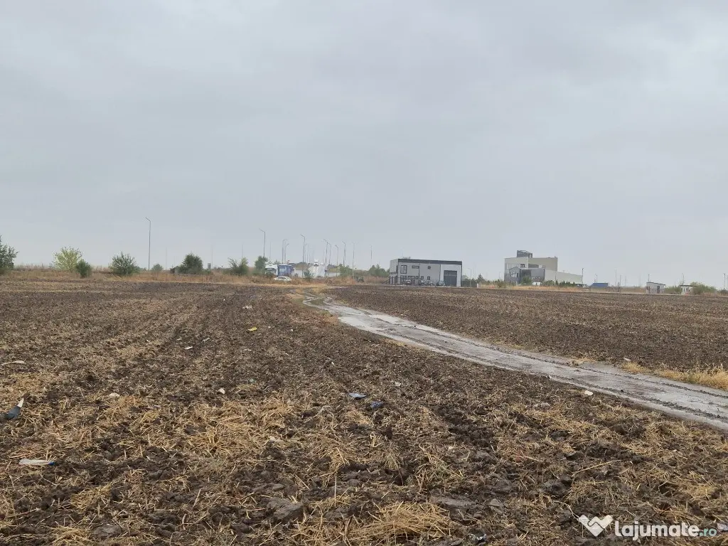 Metro Ploiesti - Paulesti, vanzare teren 39.144mp. 