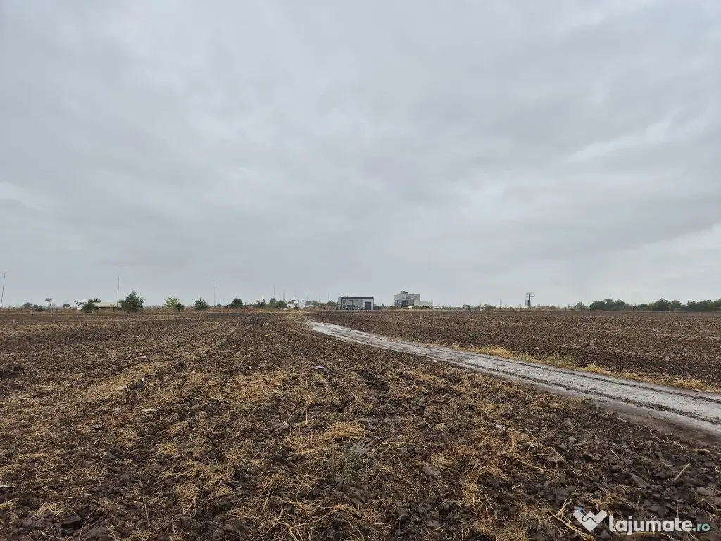 Metro Ploiesti - Paulesti, vanzare teren 39.144mp. 