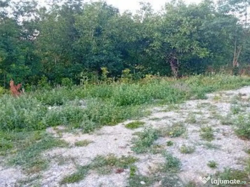 -teren intravilan, loc. Daesti, jud. Valcea