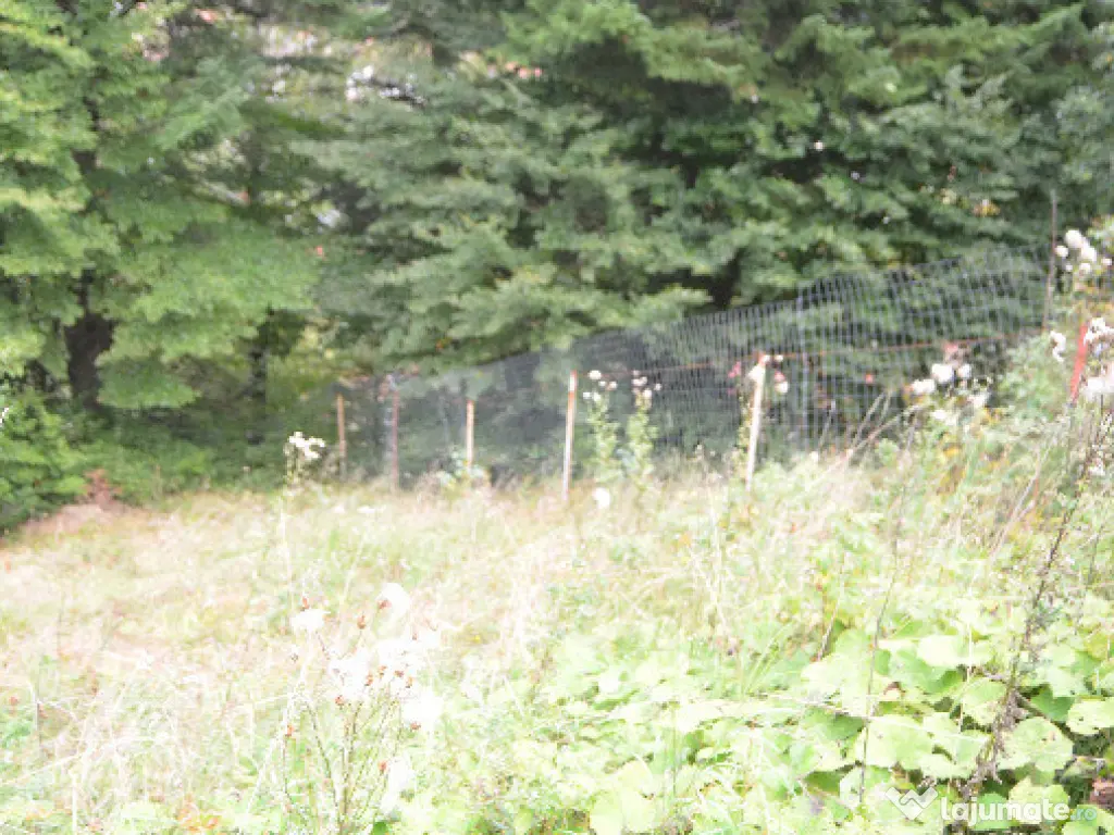 Busteni-Teren de vanzare cu o panorama superba 