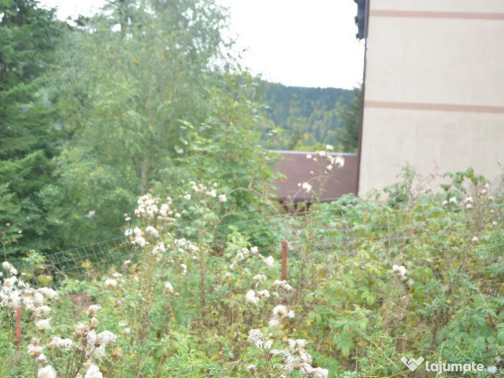 Busteni-Teren de vanzare cu o panorama superba 