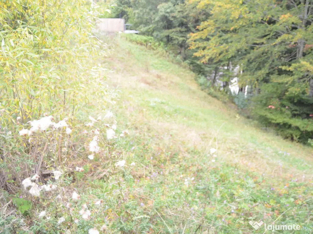 Busteni-Teren de vanzare cu o panorama superba 