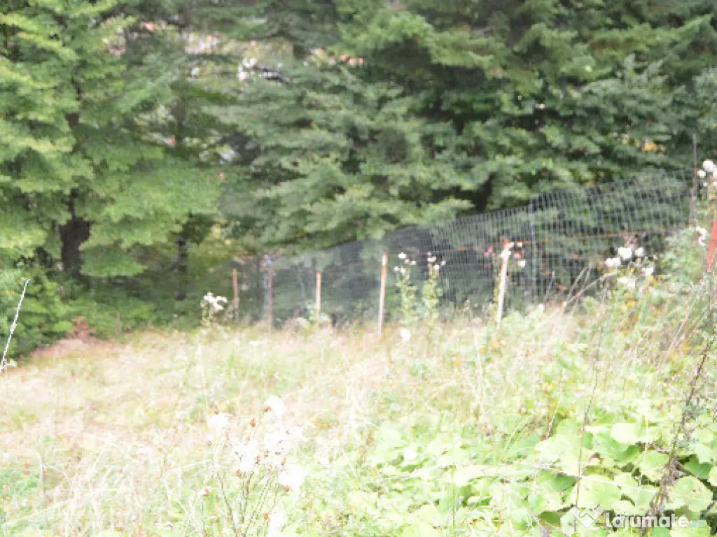 Busteni-Teren de vanzare cu o panorama superba 