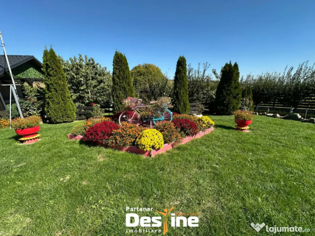 Proprietate 12.000 mp în Tătărusi, sat Uda – Bucovina M