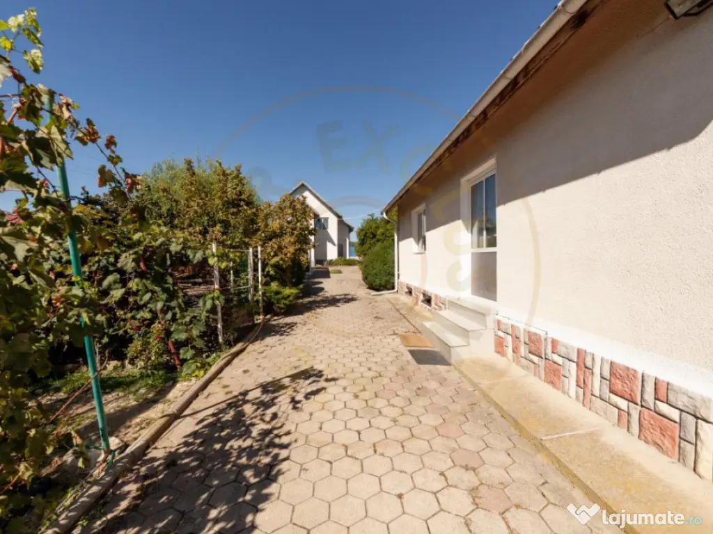 Casa visurilor cu livada roditoare si gradina amenajata Darm 