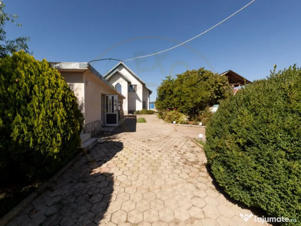 Casa visurilor cu livada roditoare si gradina amenajata Darm 