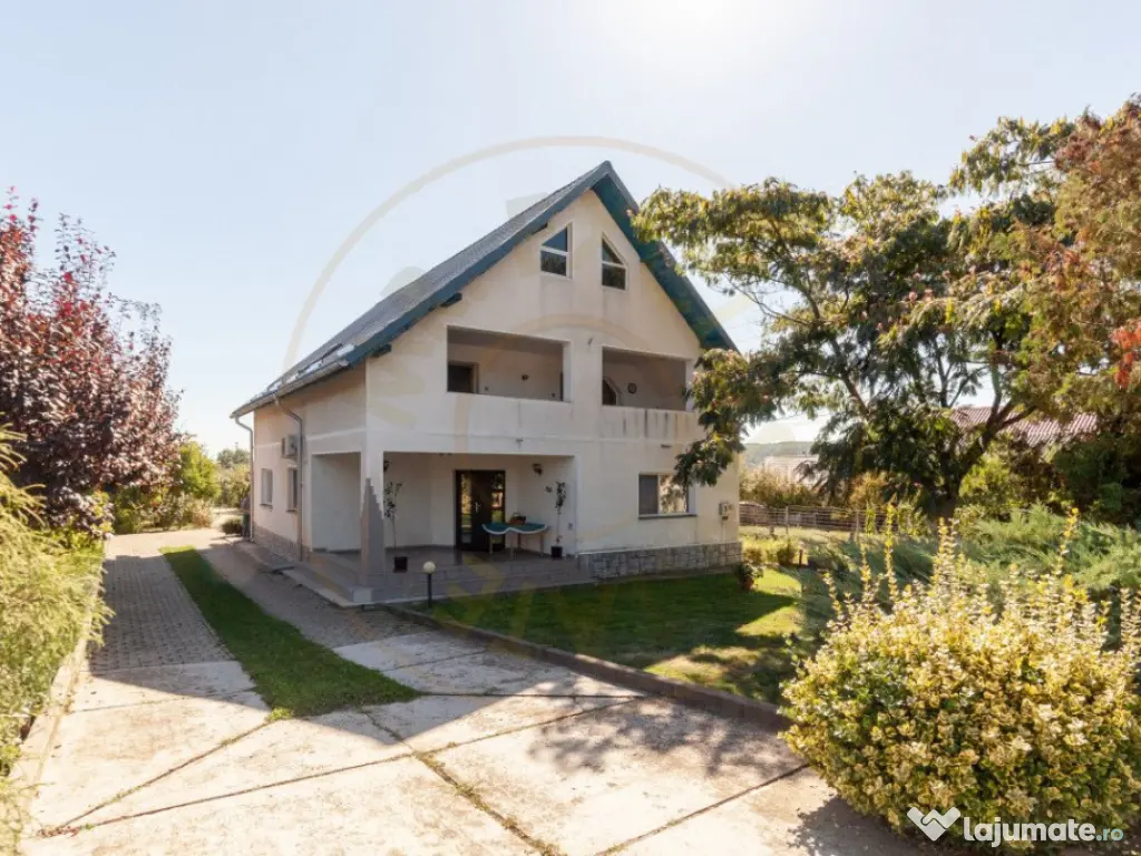 Casa visurilor cu livada roditoare si gradina amenajata Darm 