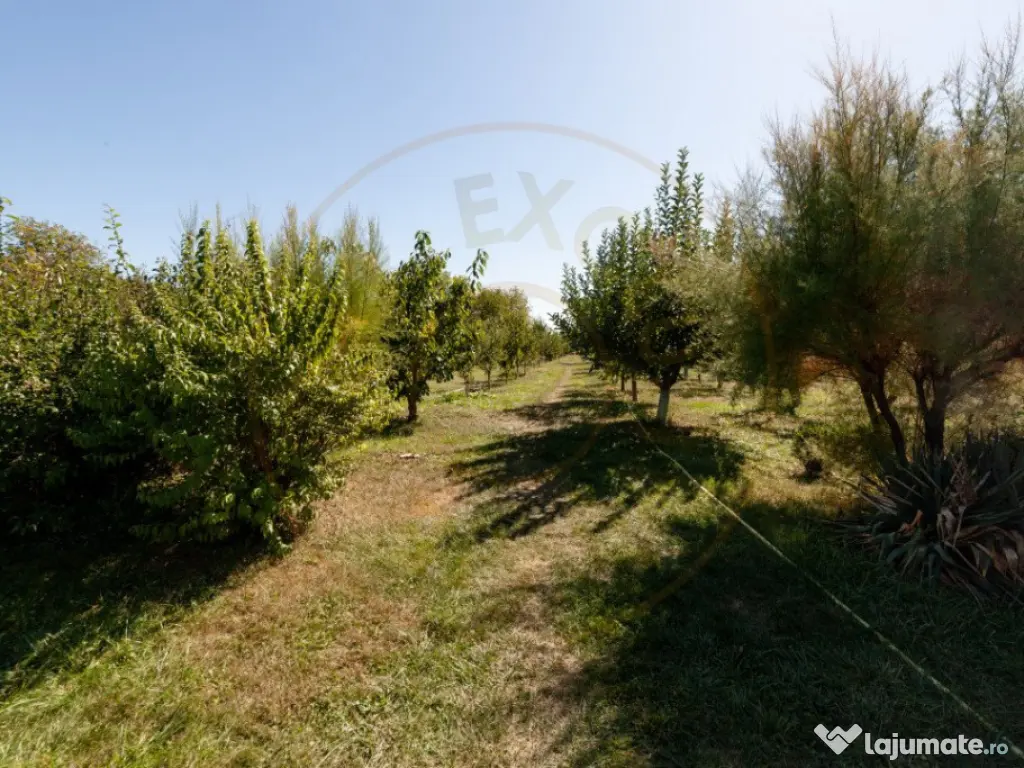 Casa visurilor cu livada roditoare si gradina amenajata Darm 