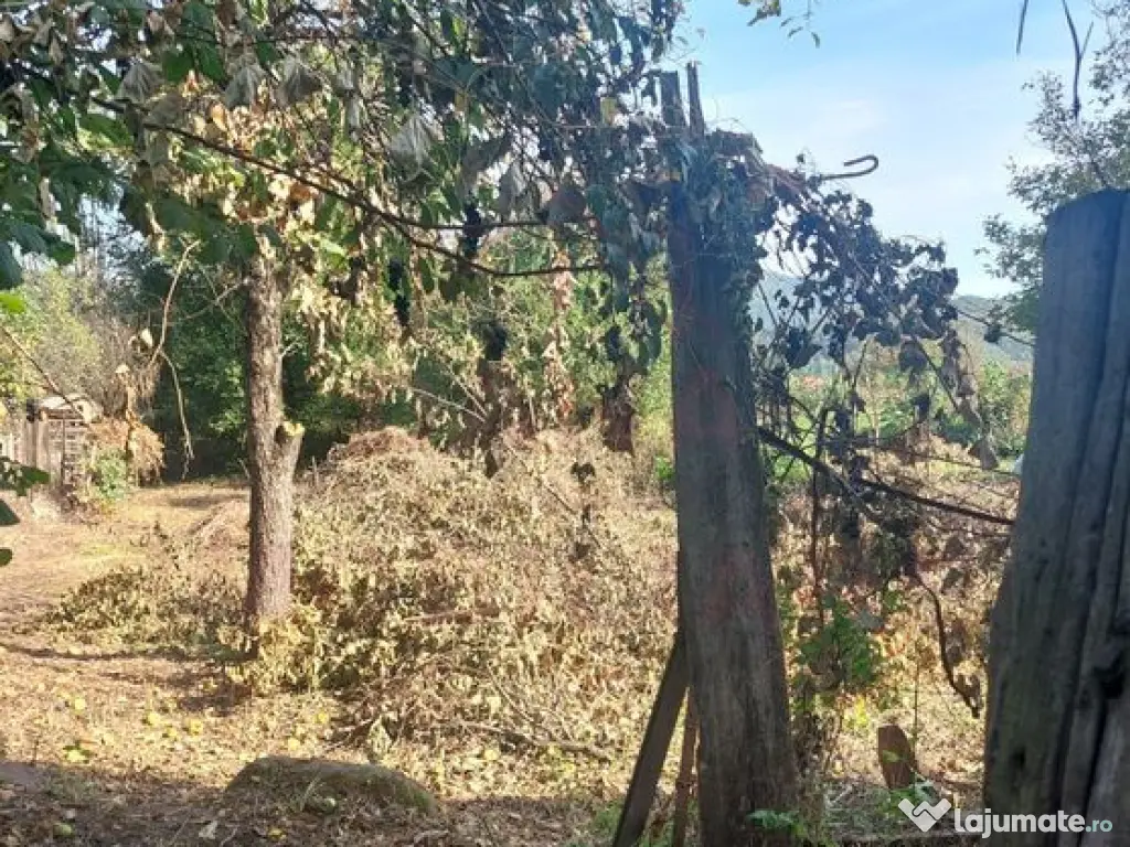 CASĂ DE VÂNZARE 2 CAMERE\ ZĂVOI\ JUD. CARAȘ-SEVERIN 