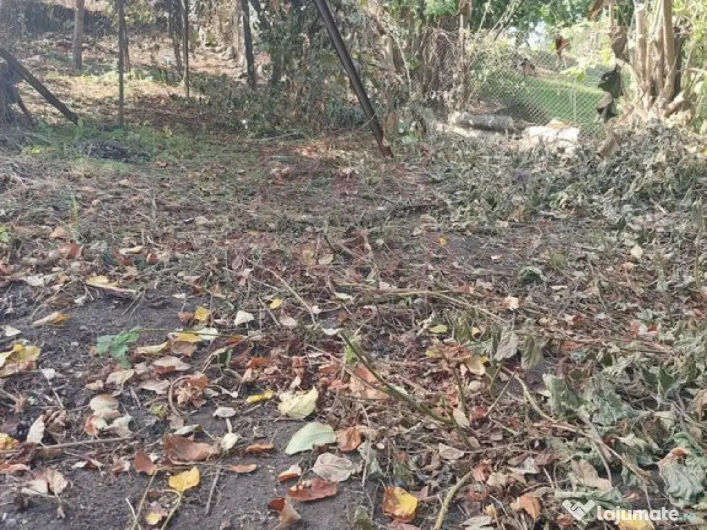 CASĂ DE VÂNZARE 2 CAMERE\ ZĂVOI\ JUD. CARAȘ-SEVERIN 