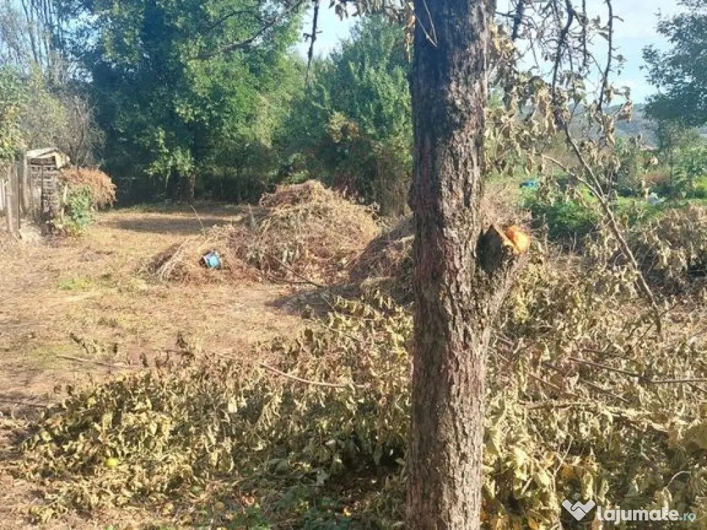 CASĂ DE VÂNZARE 2 CAMERE\ ZĂVOI\ JUD. CARAȘ-SEVERIN 