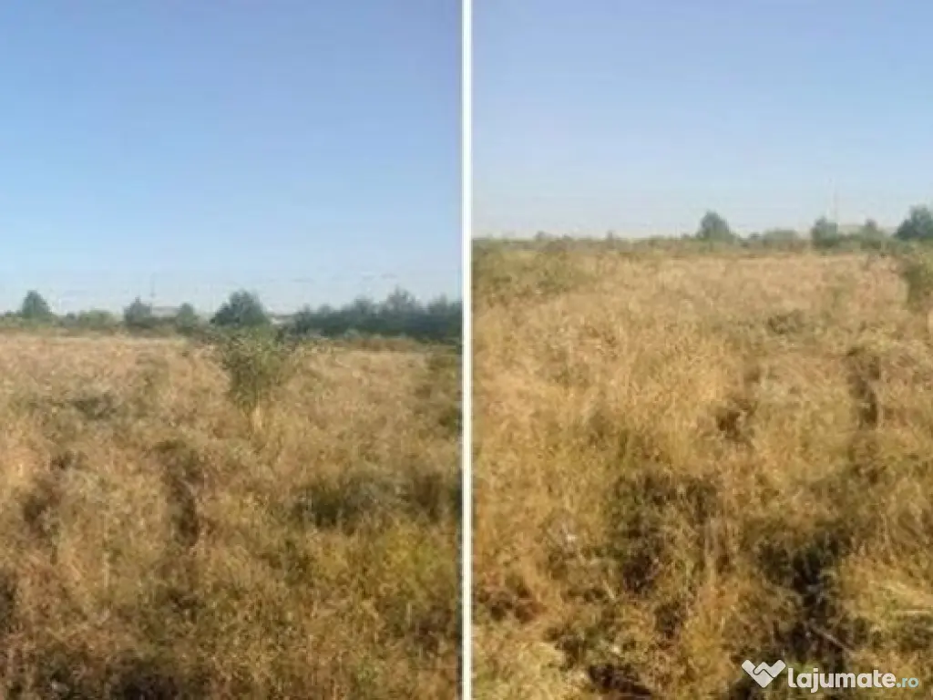 Targu Neamt, Punct Manesti, cota parte 1/2, ID: R2759107 