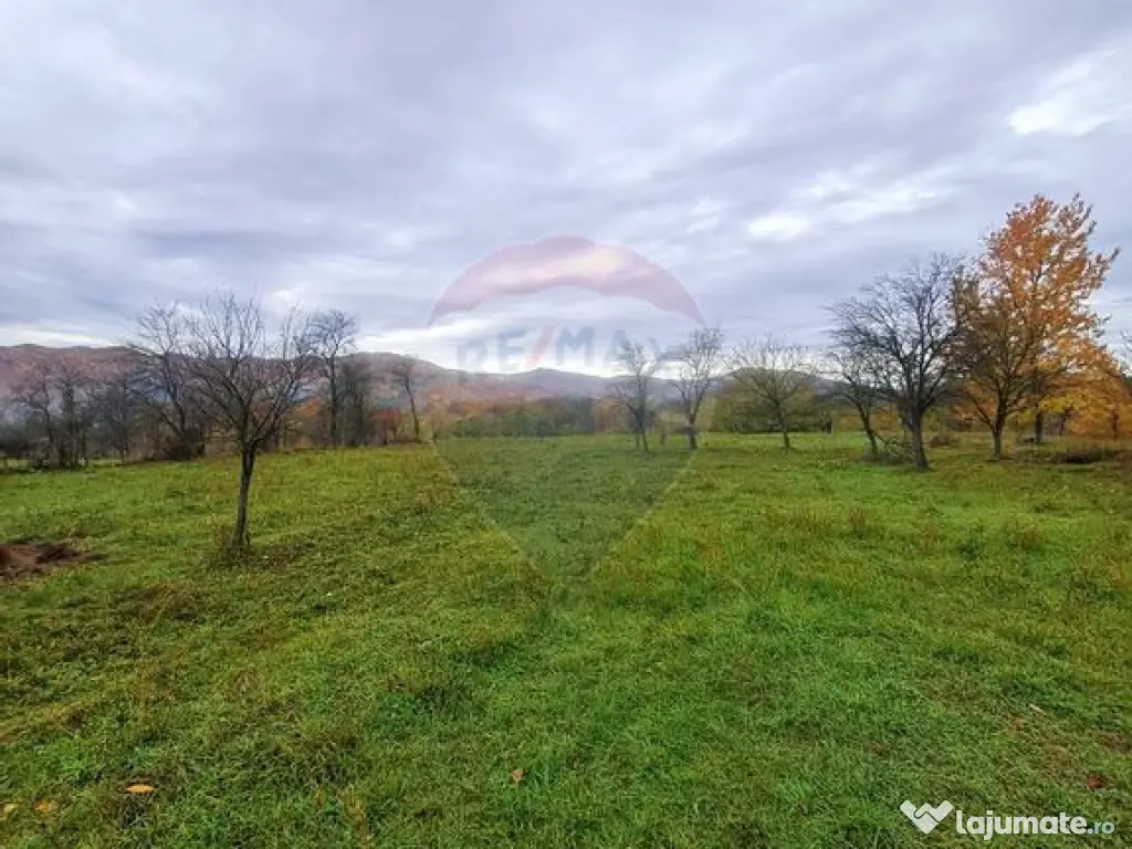 Teren intravilan 7370 mp in comuna Mera