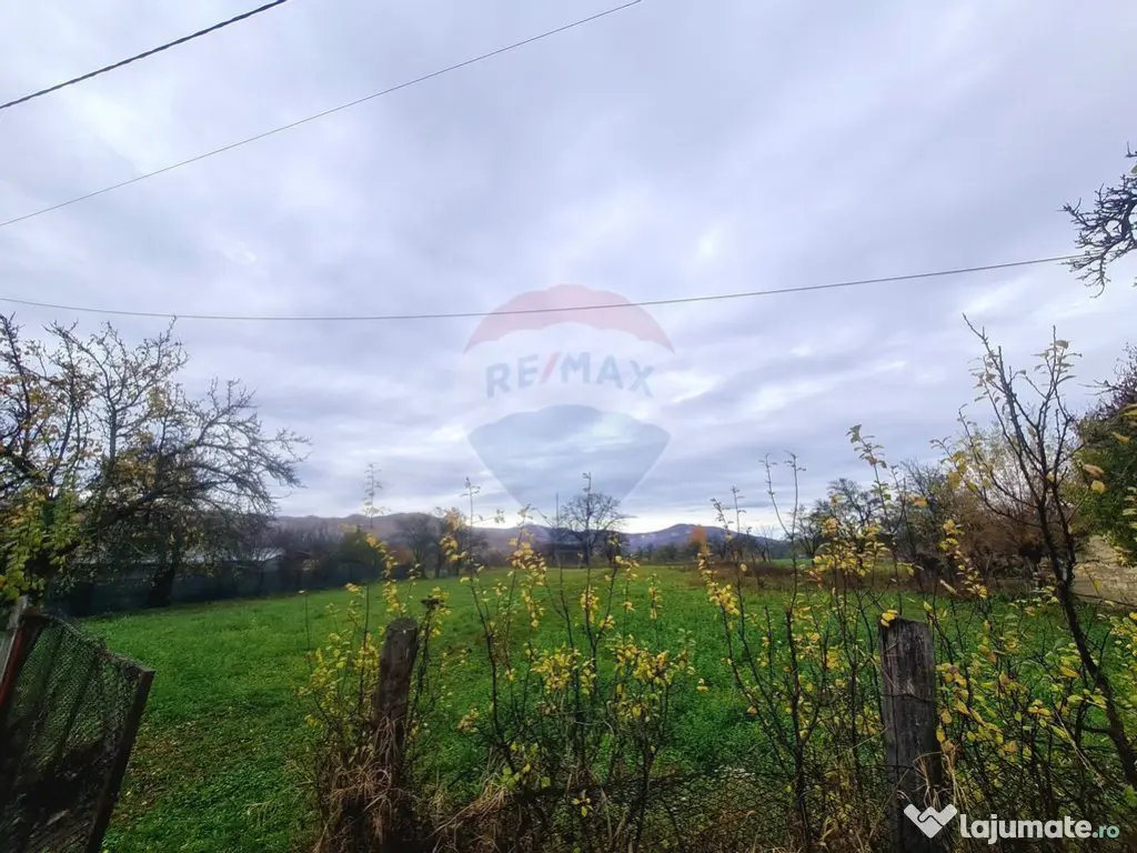 Teren intravilan 7370 mp in comuna Mera