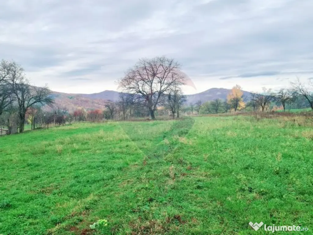 Teren intravilan 7370 mp in comuna Mera