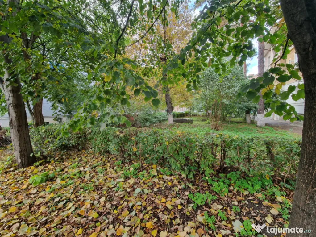 Aviatori-bloc tip vilă- 2 camere- renovat recent- boxă pe