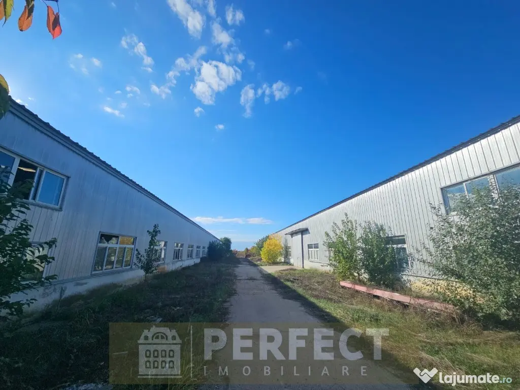 Hale industriale 2 x 1920mp DN1 de inchiriat la 3.9 euro/mp neg. 