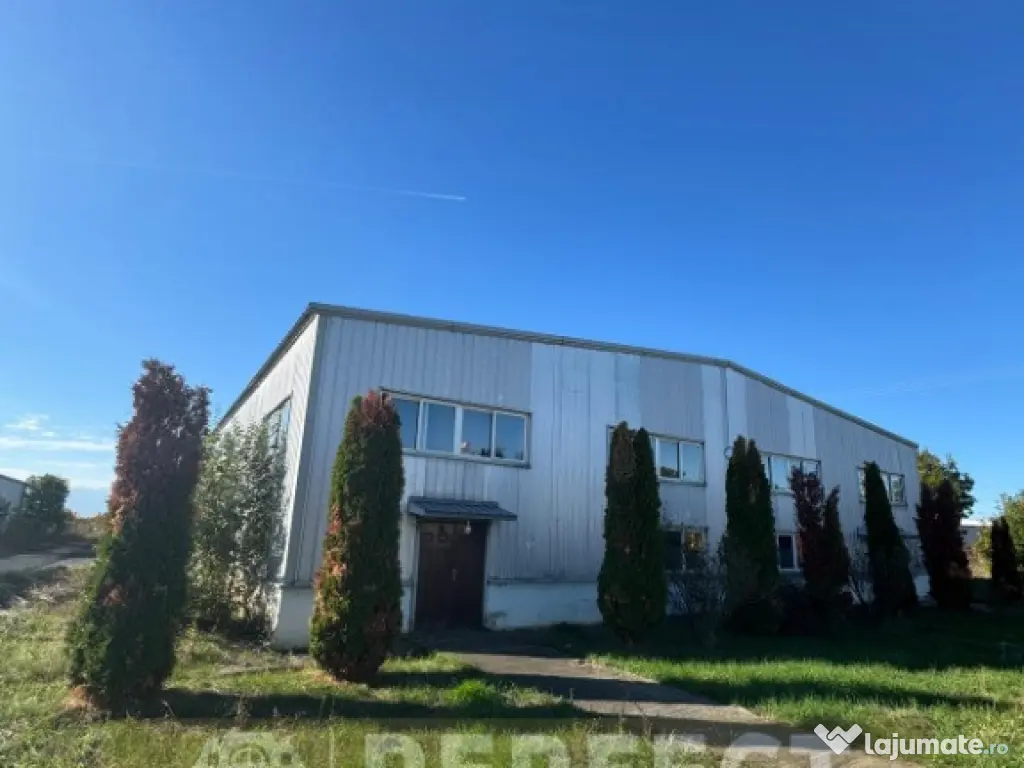 Hale industriale 2 x 1920mp DN1 de inchiriat la 3.9 euro/mp neg. 