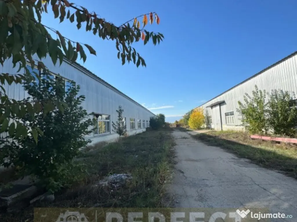 Hale industriale 2 x 1920mp DN1 de inchiriat la 3.9 euro/mp neg. 