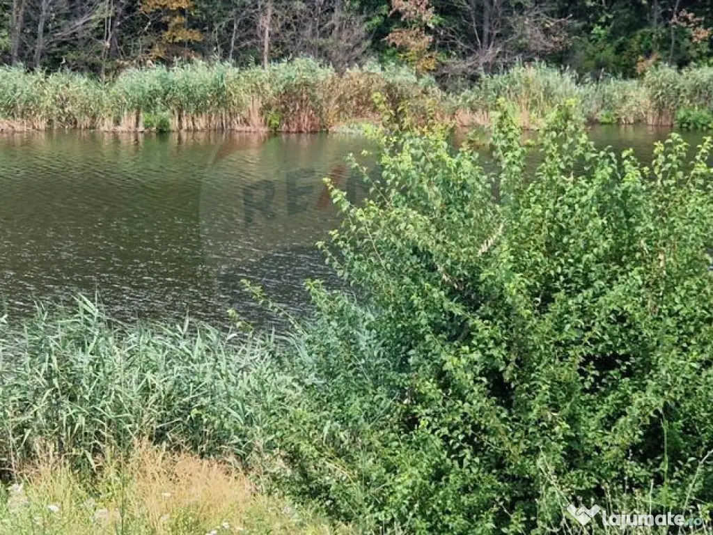 DE VANZARE Teren agricol 4500mp Moara Vlasiei
