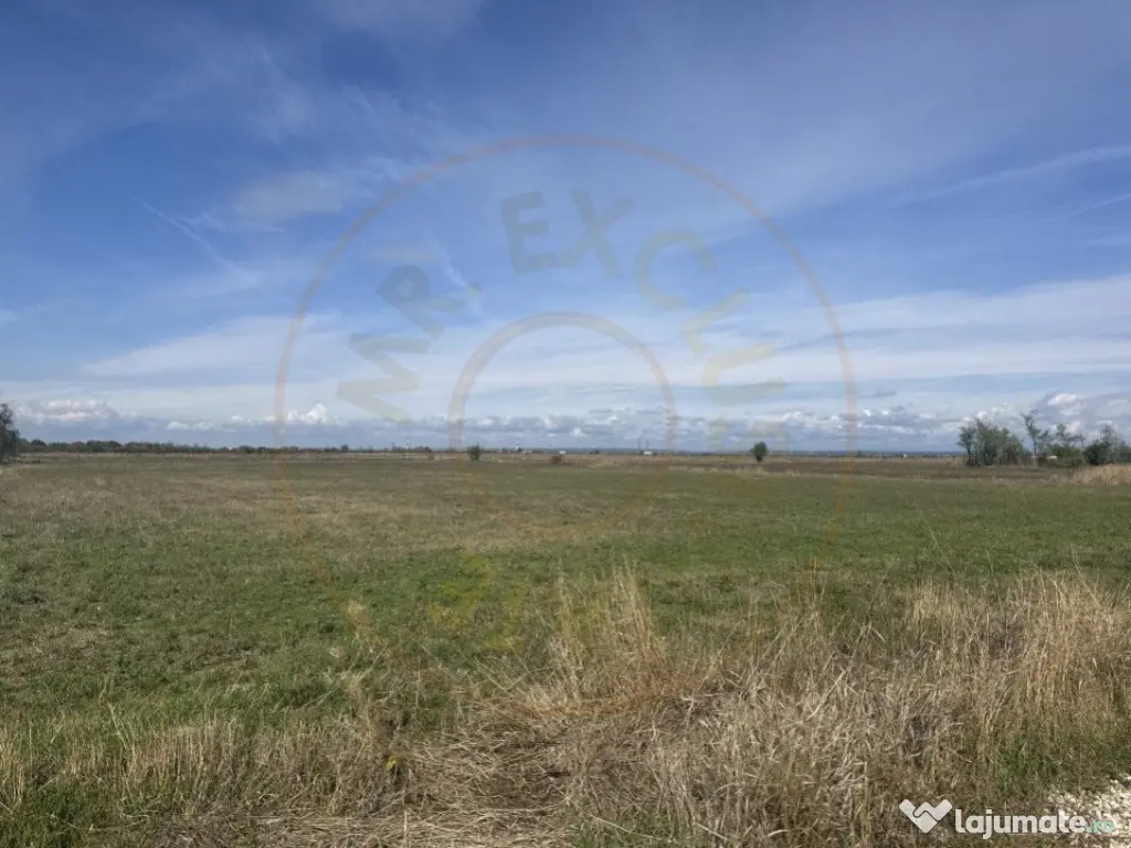 Teren intravilan 3700 mp la 28 km de Pitesti - zona linisti 