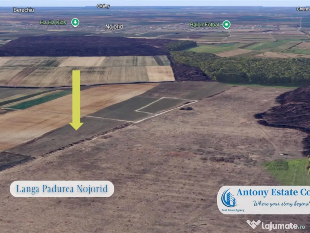 Oportunitate de investitie - Teren Cihei, langa Padurea Nojo