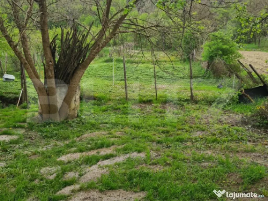 Casa Saseasca pentru afacere tip pensiune